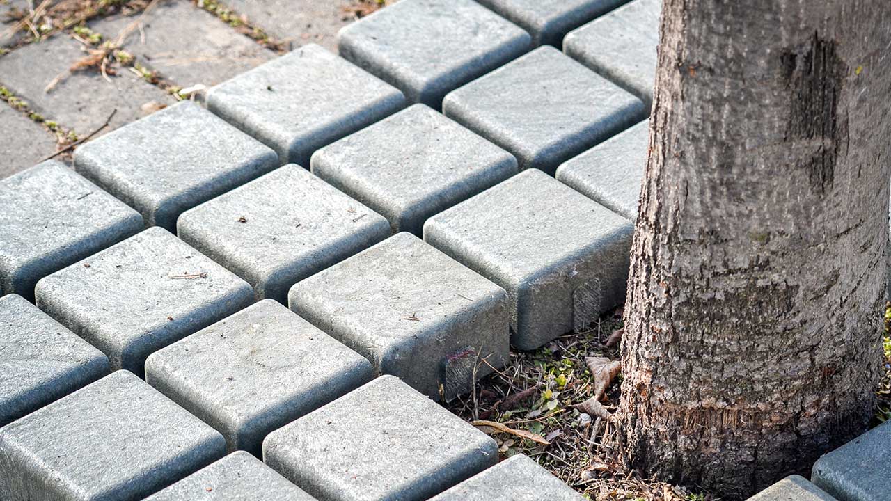 FAQs: ¿Cómo adaptar el alcorque WAY a tu proyecto en minutos?