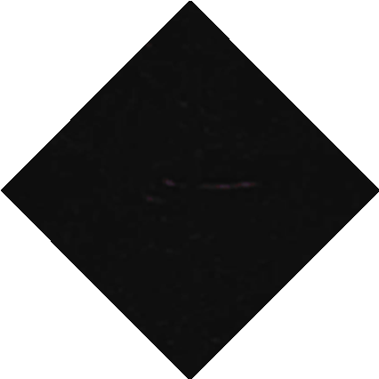 Color <br> Negro